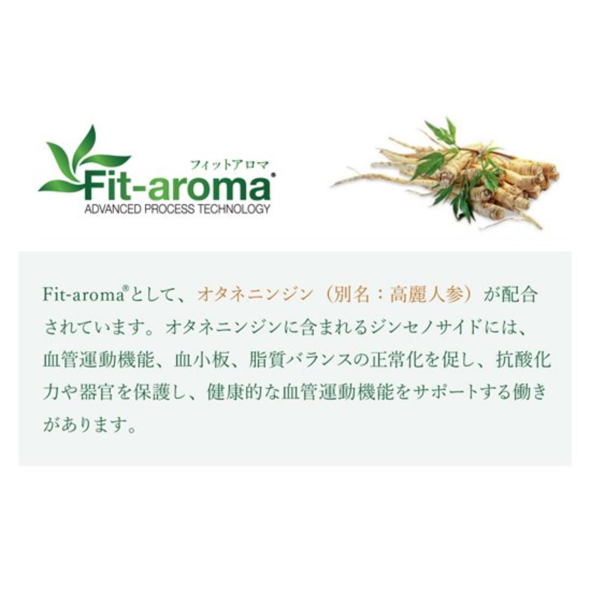 Amazon.co.jp: ベッツソリューション VetSolution Monge ドッグフード