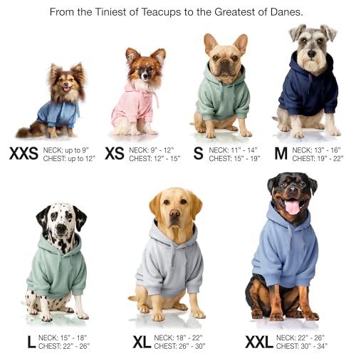 Pet Passion Cooper II Organic Cotton Velour Dog Hoodie Pet Coat for Small, Medium and Large Dogs, Light Heather Gray, Medium - Image 7