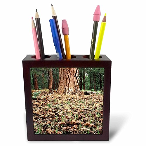 Carrelage porte-stylo de bureau pot à crayons décoratif pommes de pin 12,7 cm