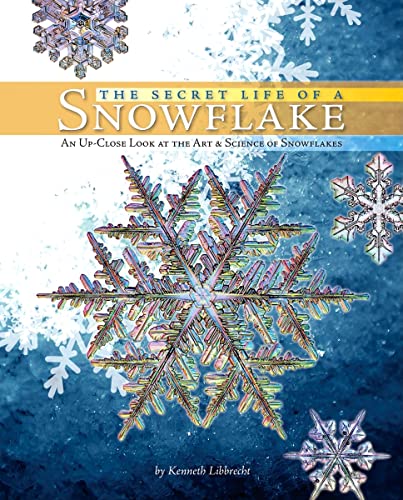 The Secret Life of a Snowflake: An Up-Close Look at
