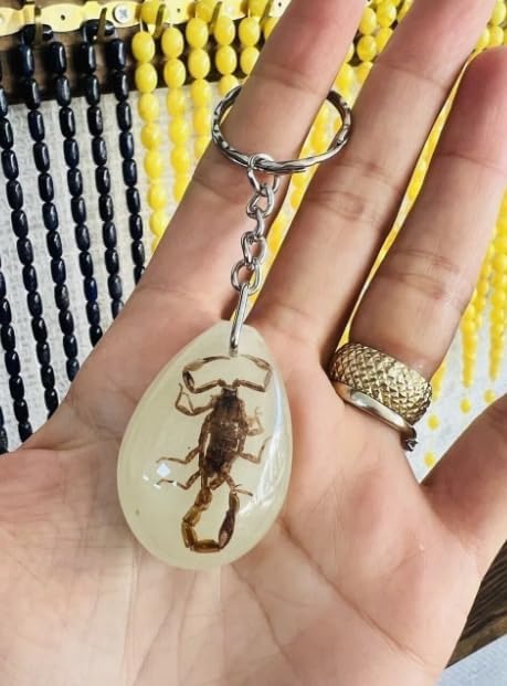 Gerçek Akrep İçeren Epoksi Reçine Anahtarlık, Şeffaf Damla Model Böcekli Anahtarlık, Egzotik Dekoratif Aksesuar, Koleksiyonluk İlginç Hediye, Farklı Tasarım Anahtar Süsü - Görsel 7