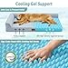 COZY KISS Orthopädisches Hundebett mittelgroße Hunde, Q-MAX>0.4 Kühlendes Hundekorb mit Seiten, Hundesofa mit Abziehbarer Bezug & wasserdichte Innenlage, Weichhe Hundebetten, Blau, XL(107x76x18 cm)