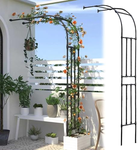 Arche métallique pour rosiers tuteur mural demi-ronde contre l'affaissement des tiges