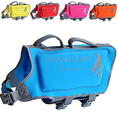 Best Dog Life Jacket For Labs 10Reviewz