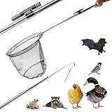 Fishing Net, Landing Fish Nets, Animal Catch Tool Net with Chicken Catcher Leg Hook, Animal Control Catch Pole, Cat Catch Trap Net - with LED Light