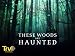 Terror in the Woods Season 1 