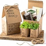 Küchengartenhaus für Hochbeet, DIY Salatanbau Set mit Pflücksalat & Rucola,...