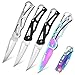 ZYNERY 4 Stück Klappmesser Taschenmesser, Scharf Klappmesser Klein...