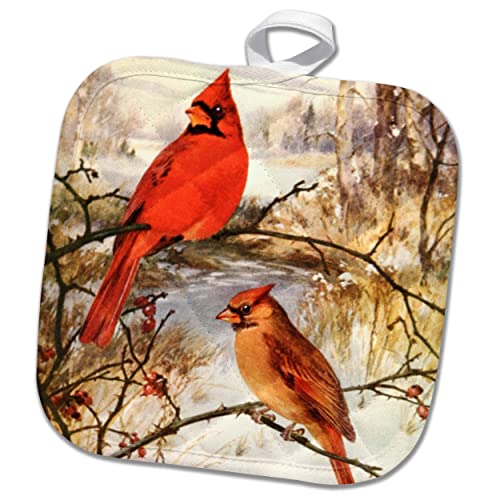 3Drose Cardinal Birds In Winter Vintage Art Print Classic Bird... - Potholders (Phl-364688-1) #TOP18