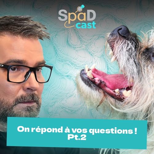 🎙️ Spadcast #4 &mdash; On r&eacute;pond &agrave; VOS questions 🐾