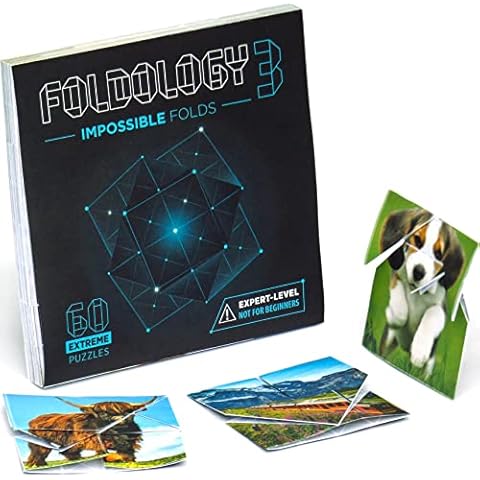 FOLDOLOGY 3 - Impossible Folds. Expert-Level Puzzle Game. 60 Origami Brain Teasers for Teens and Adults. Challenging, Not for Beginners. Ages 13+ Cover