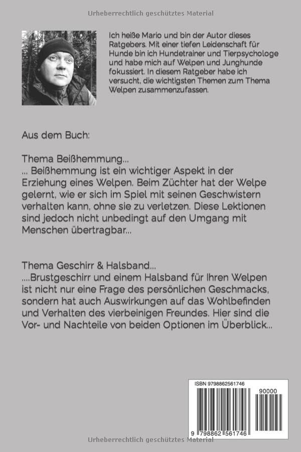 Ein Welpe zieht ein.