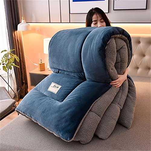 TIUTIU Edredón De Invierno De Terciopelo De Cordero, Núcleo De Cachemira De Lana Edredón, Cálido Gruesa Engrosado Otoño E Invierno (Blue,220x240cm - 5KG)