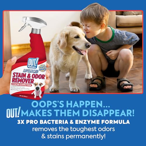 Image of OUT! PetCare Pet Odor & Stain Remover Spray, Carpet & Floor Cleaner, Deodorizer for Dogs & Cats, Made in USA, 32 fl oz (6 Pack)