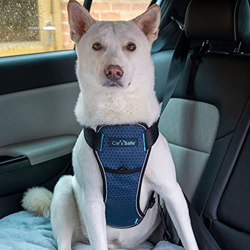 Image of CarSafe Crash Tested Dog Safety Harness - Crash Tested to 32Kg /70lbs, Safely Secure Dog in the Car, Comfortable and Padded Design. for Toy, Small, Medium and Large Dogs (Size Medium)