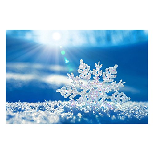 Affiche Flocon de Neige poster cristaux de glace pour habiller un grand mur vide facilement