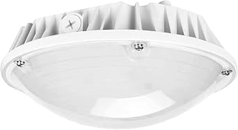 LED Canopy Light, 30W/40W/60W Power Selectable, 8400LM 5000K Gas Station Canopy Light, IP65 Waterproof Outdoor Garage Shop Ceiling Lighting for Gas Station, Warehouse, 100-277VAC ETL Listed