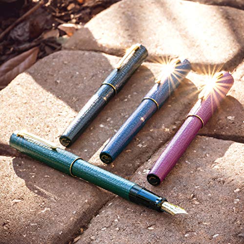 Pilot Ishime Fountain Pen, Medium Nib, Burgundy Barrel With Blue Ink, Single Pen (13831) #TOP3