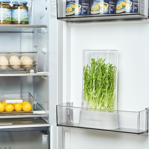 vacane Herb Keeper for Refrigerator, Fresh Herb Saver Herb Storage Containers, Cilantro Container for Fridge Asparagus Container, Dishwasher Safe by vacane - Used condition - Image 7