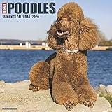 Just Poodles 2020 Wall Calendar (Dog Breed Calendar)