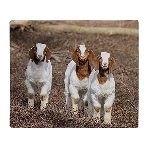 The Best Bedding For Goats For 2022