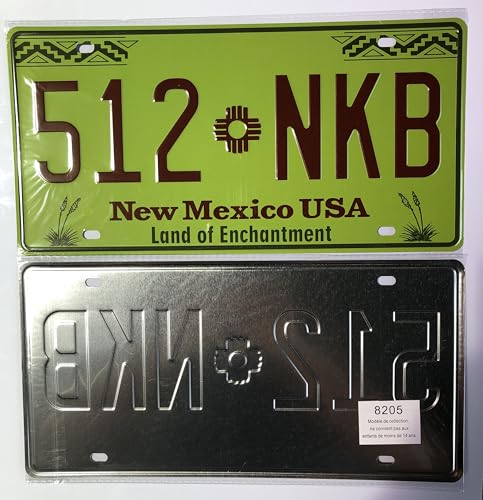 - Satz mit 10 amerikanischen Autokennzeichen aus Metall - Repliken echter US-Kennzeichen - V1C