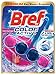 Bref WC Color Activ+ Fleurs sauvages – 1 Bloc WC (50g) – Produit Nettoyant WC – Détartrant toilettes