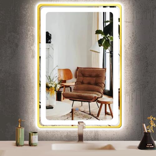 TiliKuly 16 x 24 Inch Bathroom Gold Vanity Mirror with