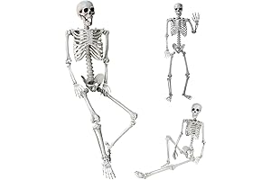 5.4Ft/165cm Halloween Full Body Skeleton, Animatronic Skeleton with Movable Joints for Indoor Outdoor Halloween Props