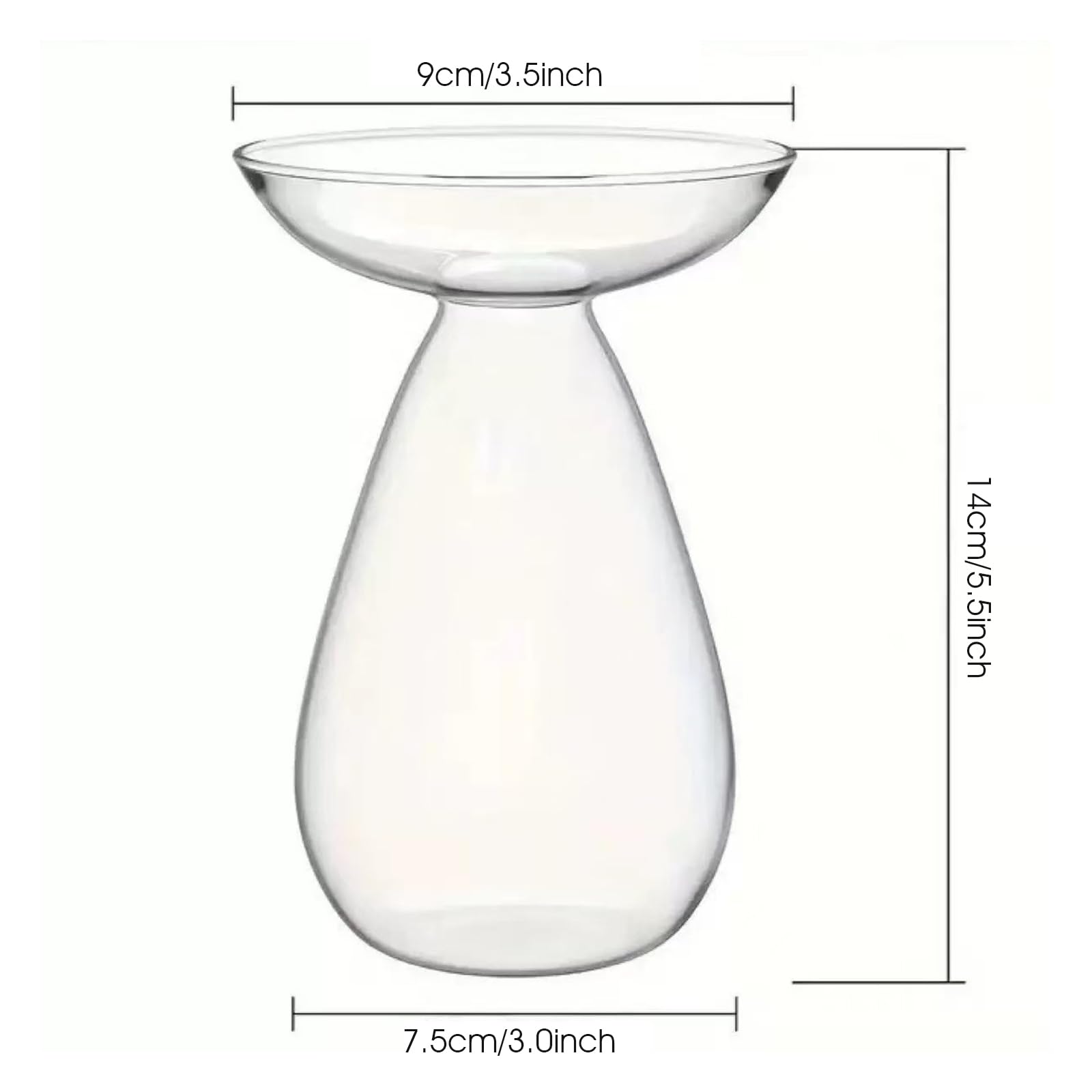 Macetas transparentes para plantas, florero de cristal transparente para semillas de aguacate, macetero para plantas hidropónicas, kit de cultivo de árboles pequeños para decoración de interiores, ho