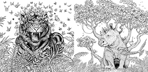 Fragile World: Colour Nature's Wonders