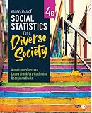 Essentials of Social Statistics for a Diverse Society