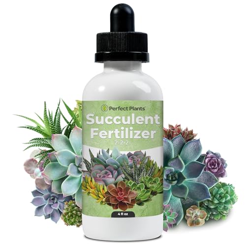 Succulent Fertilizer Drops by Perfect Plants | Best Liquid Plant Food for Succulents | Grow Bigger Cactus Jade and Christmas Cacti - Just Mix with Water (4 fl oz)