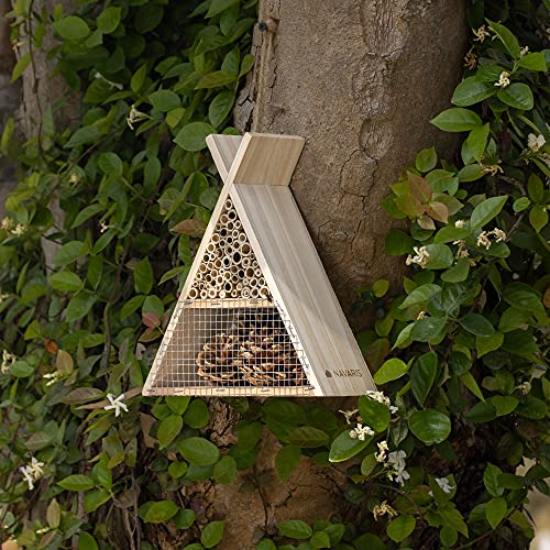 Navaris Bienenhaus dreieckig aus Holz - 22,5 x 21 x 8cm - naturbelassenes Insektenhotel für Bienen und Hummeln zum… – Bild 3