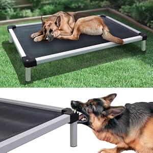 FXW TitanNest Chew-Proof Elevated Dog Bed, Raised Cot for Indoor/Outdoor/Camping Use, Durable & Waterproof Cooling Pet Bed for Large Dogs, 50.0″ L x 31.0″ W x 7.3″ H, Black