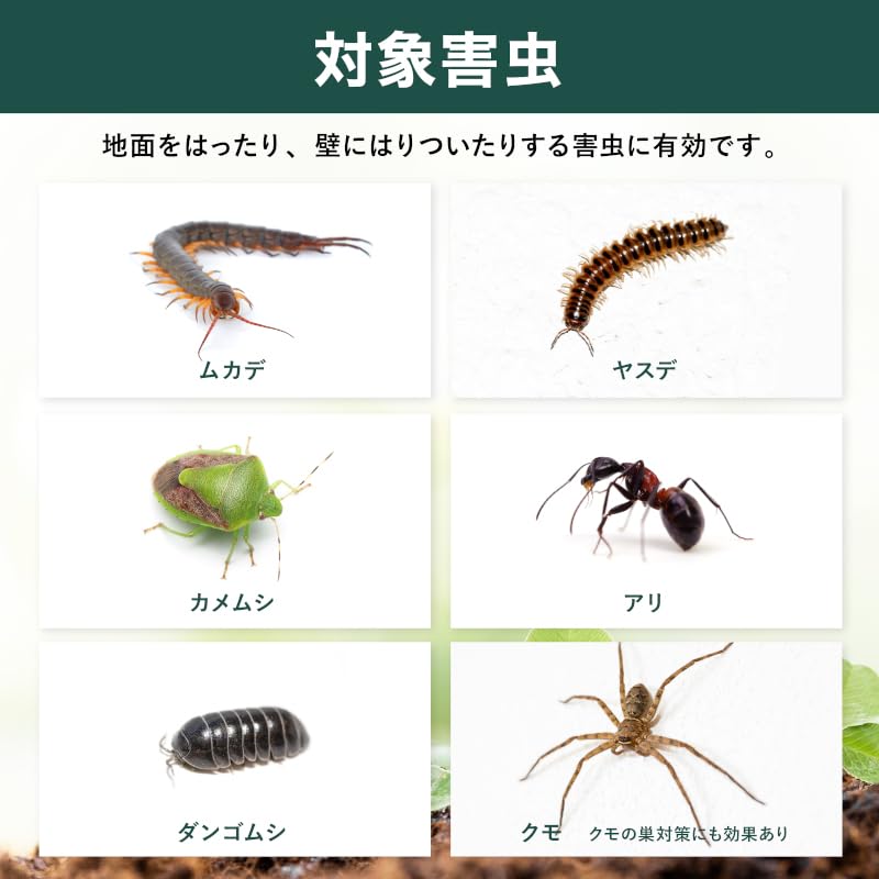 Amazon.co.jp: サイベーレ0.5SC 900ml＋4Lタイプ噴霧器セット ムカデ