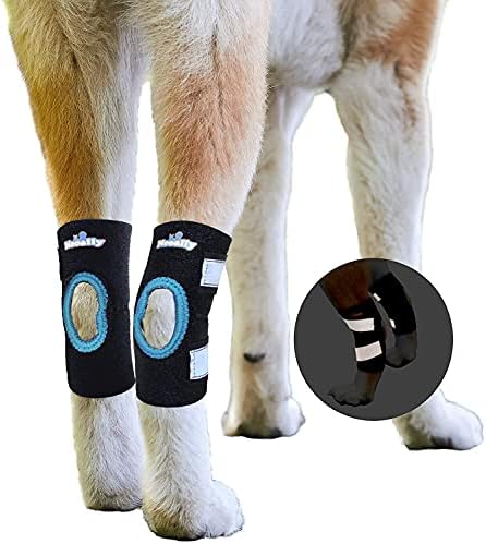 NeoAlly - Short Rear Leg Hock Brace, Dog Leg Brace for Rear Leg, Hock & Ankle Support, Dog Brace for Torn ACL & CCL, Dog Leg Sleeve with Reflective Straps, Large, Blue, 1 Pair