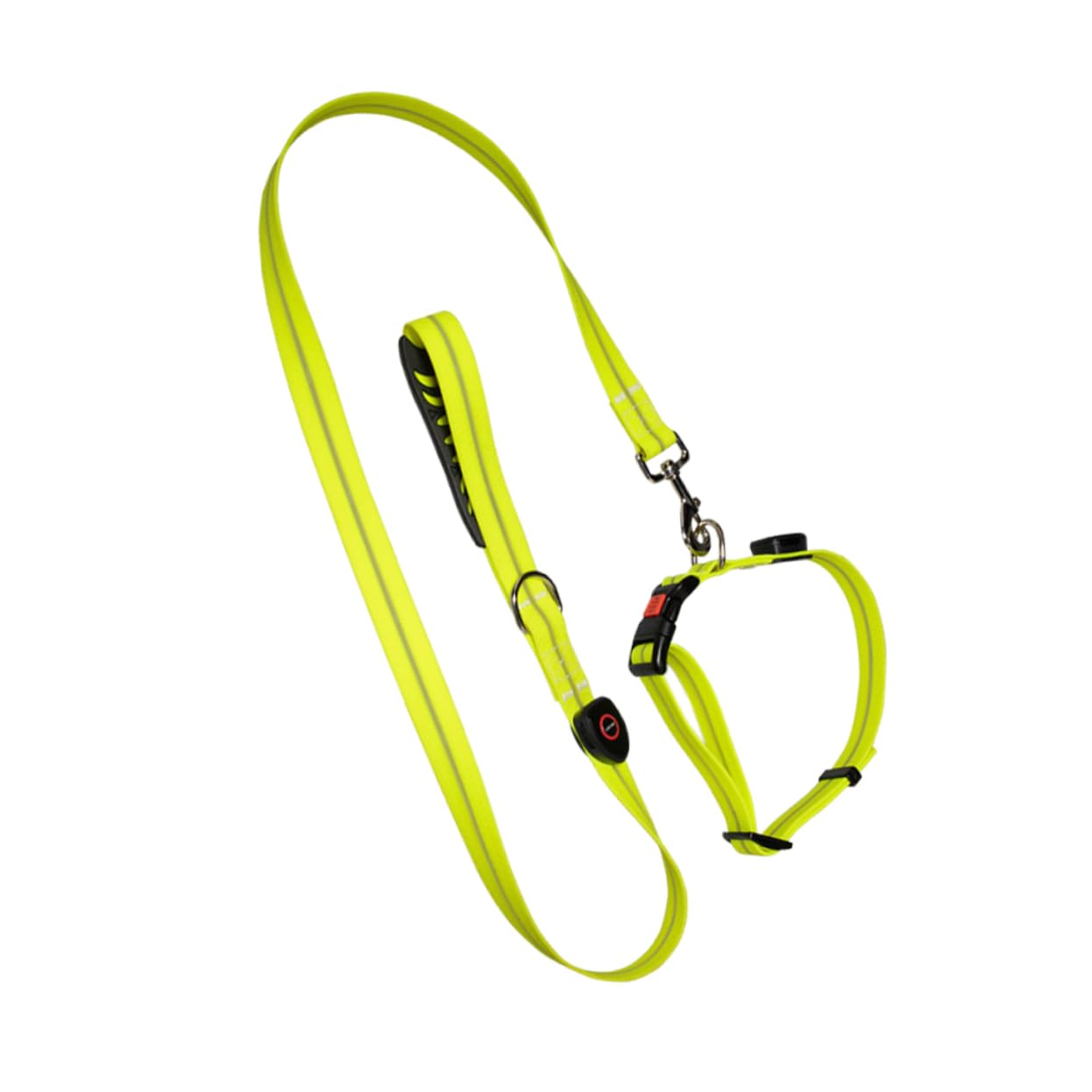 Laisse LED pour collier laisse de traction compact pour promenade nocturne design
