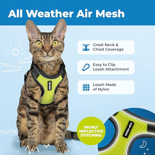 Image of Voyager Escape-Proof Step-in Lock Cat Harness & 5ft Neoprene-Handle Leash Set All-Weather Mesh with Reflective Stitching for Small to Large Cats by Best Pet Supplies, Black Trim-Lime (327), S