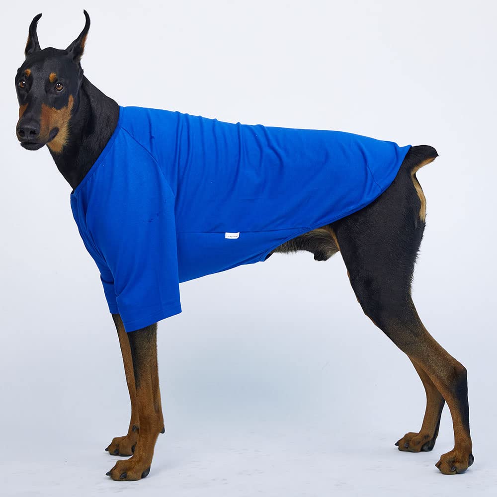 Camisa para perros pequeños, camisetas lisas, suave, transpirable, de algodón para perros, ropa para mascotas (5XL, azul)