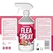 Petsly® Flohmittel Katzen, Hunde & Textilien -1L- Nicht färbend - Flohspray für Wohnung und Möbel - Langzeitschutz - mit natürlichen ätherischen Ölen wie Citronella- & Geraniol-Öl