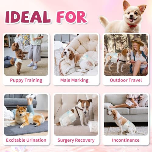 Image of Disposable Dog Diapers, Female Dog Diapers for Heat Cycle Protection, Super Absorbent & Adjustable, for Excitable Urination, Incontinence & Potty Training, Medium, 10 Count