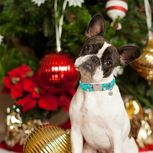 Image of Christmas Dog Collar, Christmas Collar for Puppy Girl Boy Dog or Cat, Holiday Dog Collar with Durable Metal Buckle, Cute Pet Collar, L