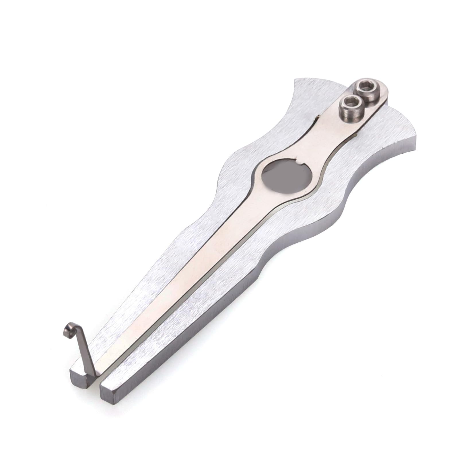 Arpa portatile a bocca in acciaio, strumento musicale folk, portatile, 10 cm, strumento per suonatori amatoriali e piccoli raduni
