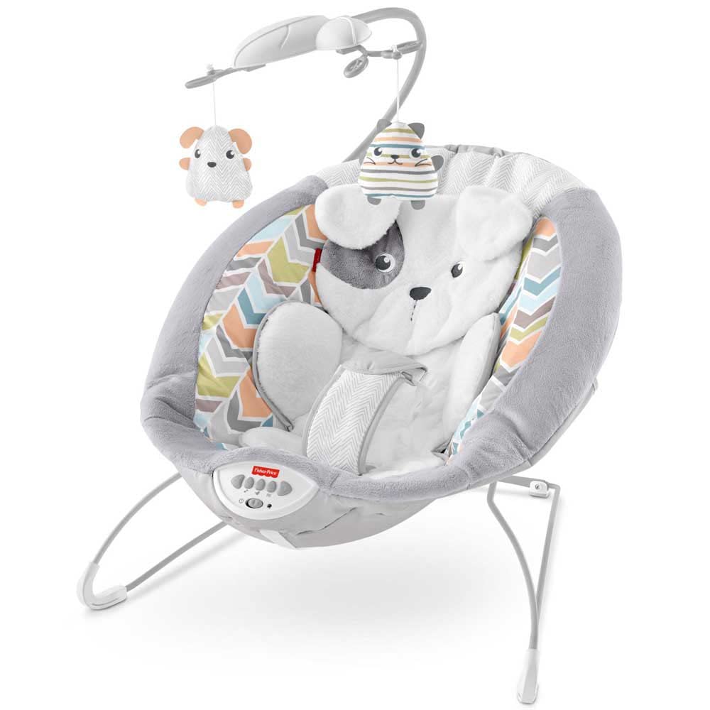 Fisher-Price Sweet Snugapuppy Deluxe Bouncer Gwd50