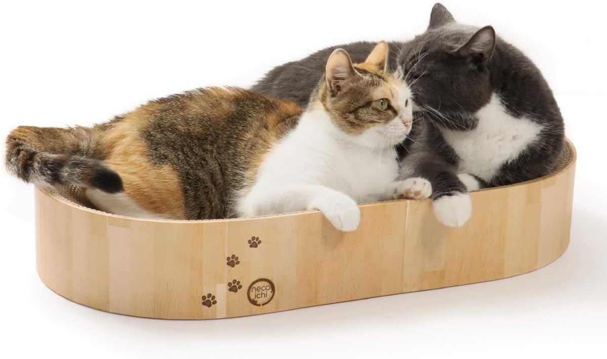 FJJRTWDG Beautiful Cat Scratch Lounge Chair Capsules, Artificial Pet Scratch Boards, Suitable for Indoor Pets Suitable for Indoor Pets(Bed Couch(Dark Cherry)