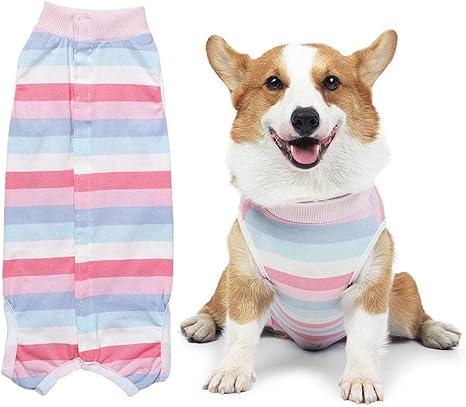 dog biting clothes