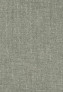 Hardcover Comoedia Dorica Mimi Phlyaces [German] Book