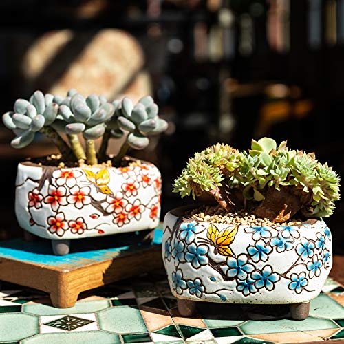 Summer Impressions Succulent Pots 5 Inch Hand Painted Cactus Plant Pot Clay Pot Flower Pot Planter Container With Drainage Hole Pack Of 2 (Blossom Blue And Red) #TOP2