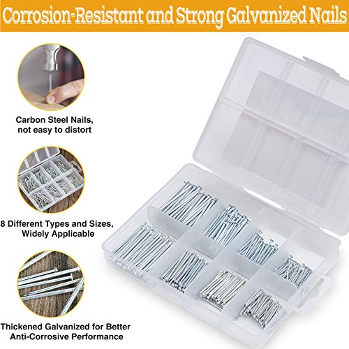 Kurui 16 Oz Hammer & 560Pcs Hardware Nail Assortment Kit,Claw Hammer Set With Anti-Slip Handle, Anti-Corrosive Galvanized 280 Picture Hanging Nails & 280 Finishing Nails For Household And Diy #TOP3